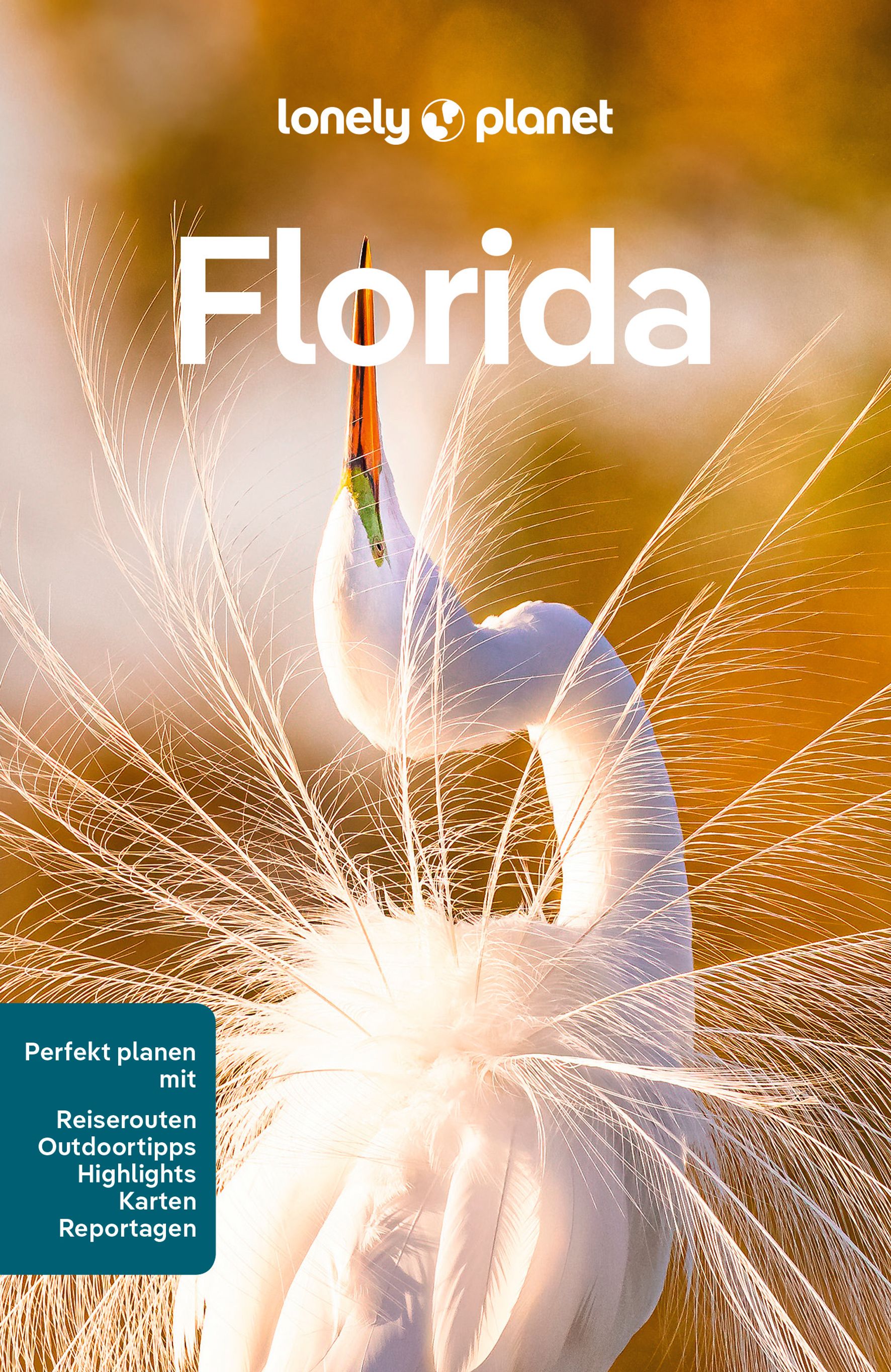 Lonely Planet Florida